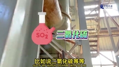 ۶۰-۸۰٪ رطوبت دو پیچ سوختن مدفوع فاضلاب با سیستم خودکار پیشرفته